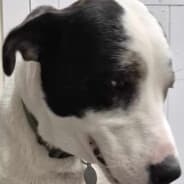 Cover Image for This is my new blog site!